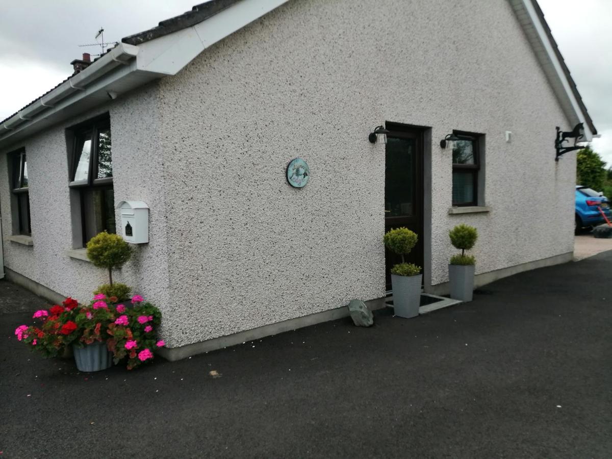 Lynn'S Lodge, International Airport 15Mins Randalstown Exterior photo