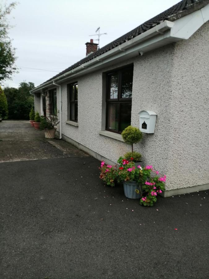 Lynn'S Lodge, International Airport 15Mins Randalstown Exterior photo